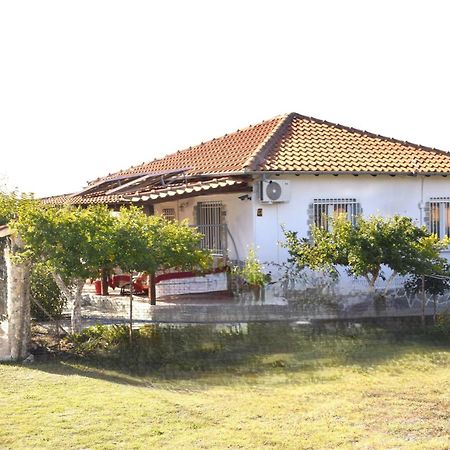 Amarantos Beautiful Garden House Villa Metokhion Patriotikon Eksteriør billede